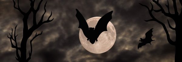 Exu Morcego história